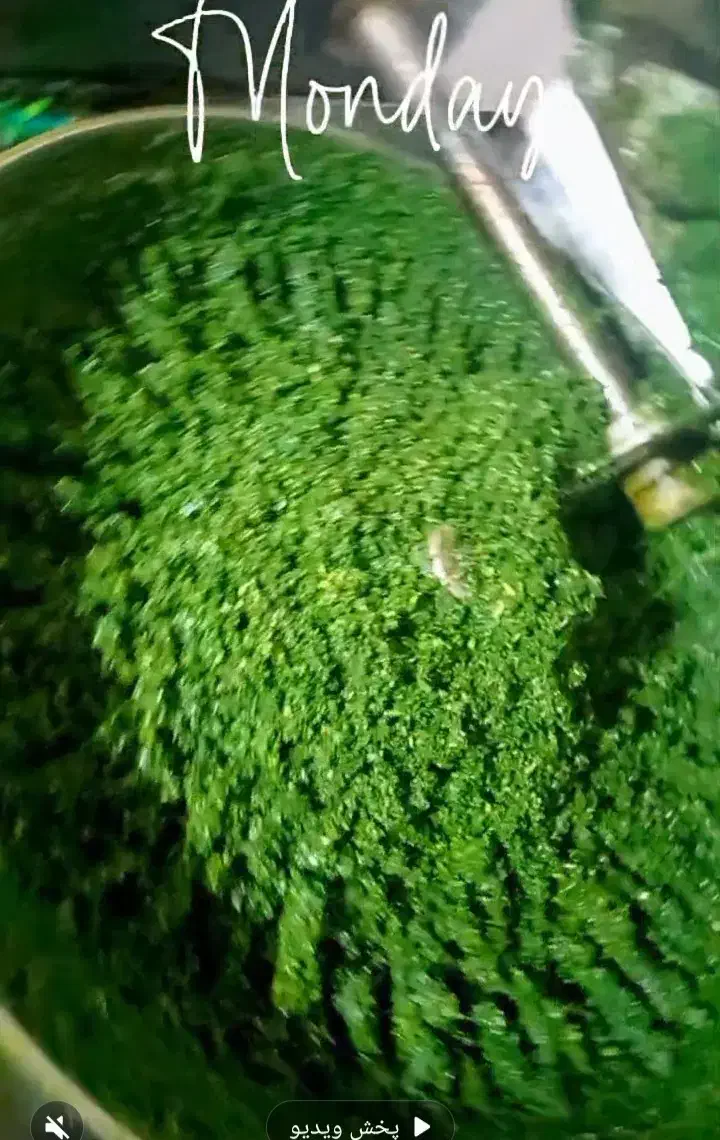 سبزی خرده شده|خوردنی و آشامیدنی|رشت, انصاری|دیوار