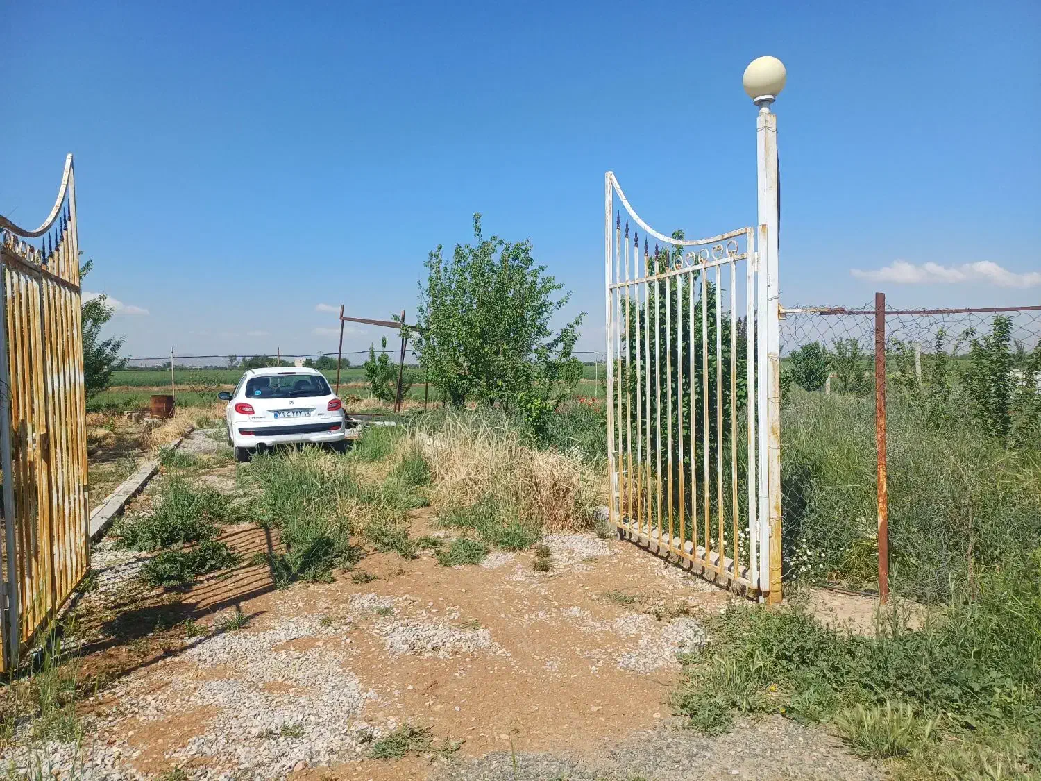 زمین باغی با تمام متراژ و انواع باغ فنس و دیوار|فروش خانه و ویلا|کرمانشاه, |دیوار