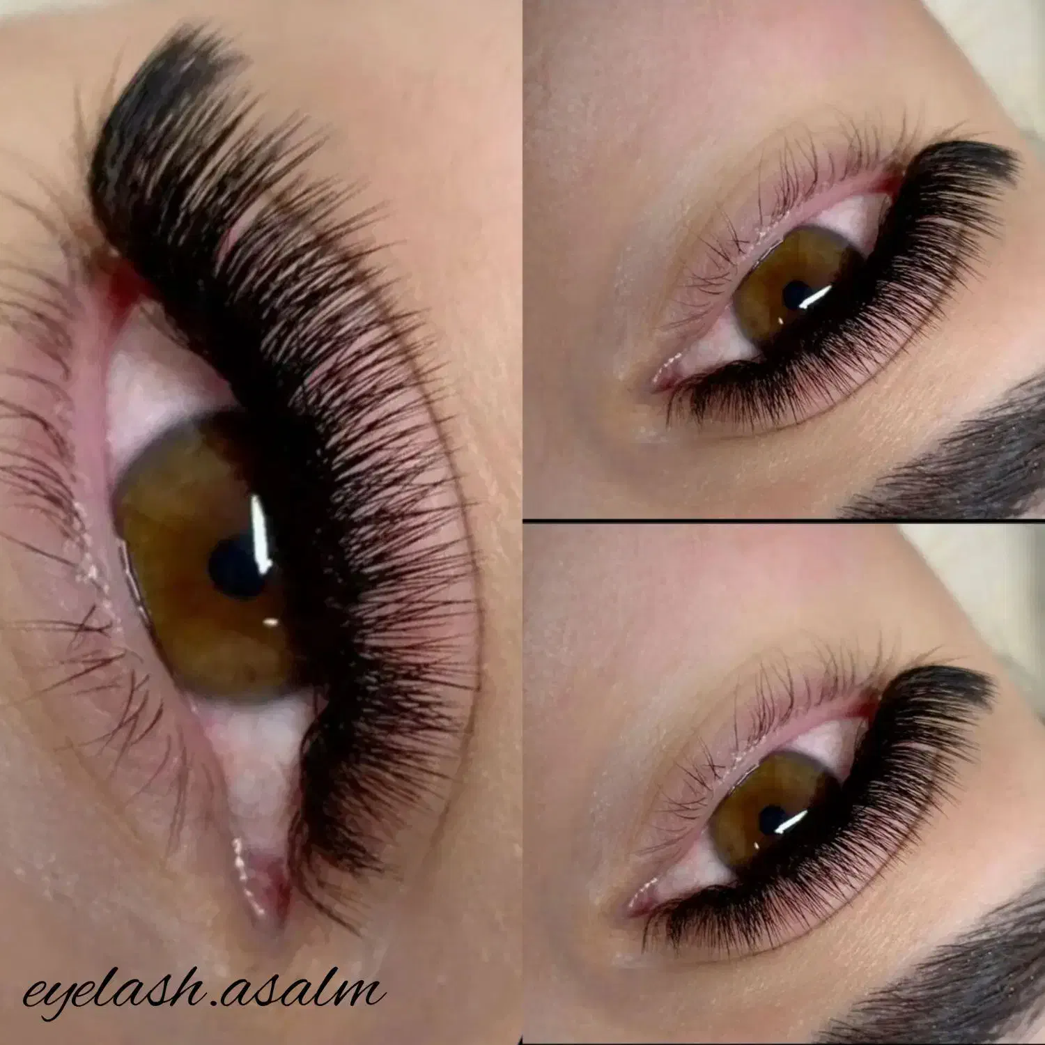 آموزشی مژه لیفت ابرو|خدمات آموزشی|گرگان, |دیوار