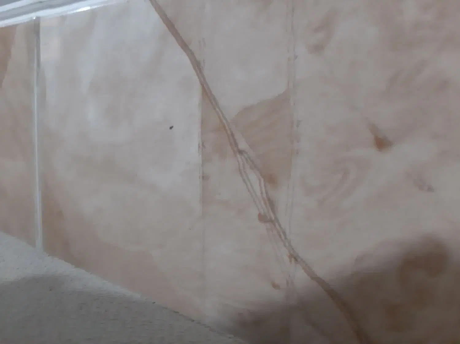 کاشی و سرامیک به قیمت عمده|عمدهفروشی|شیراز, سلطان آباد|دیوار