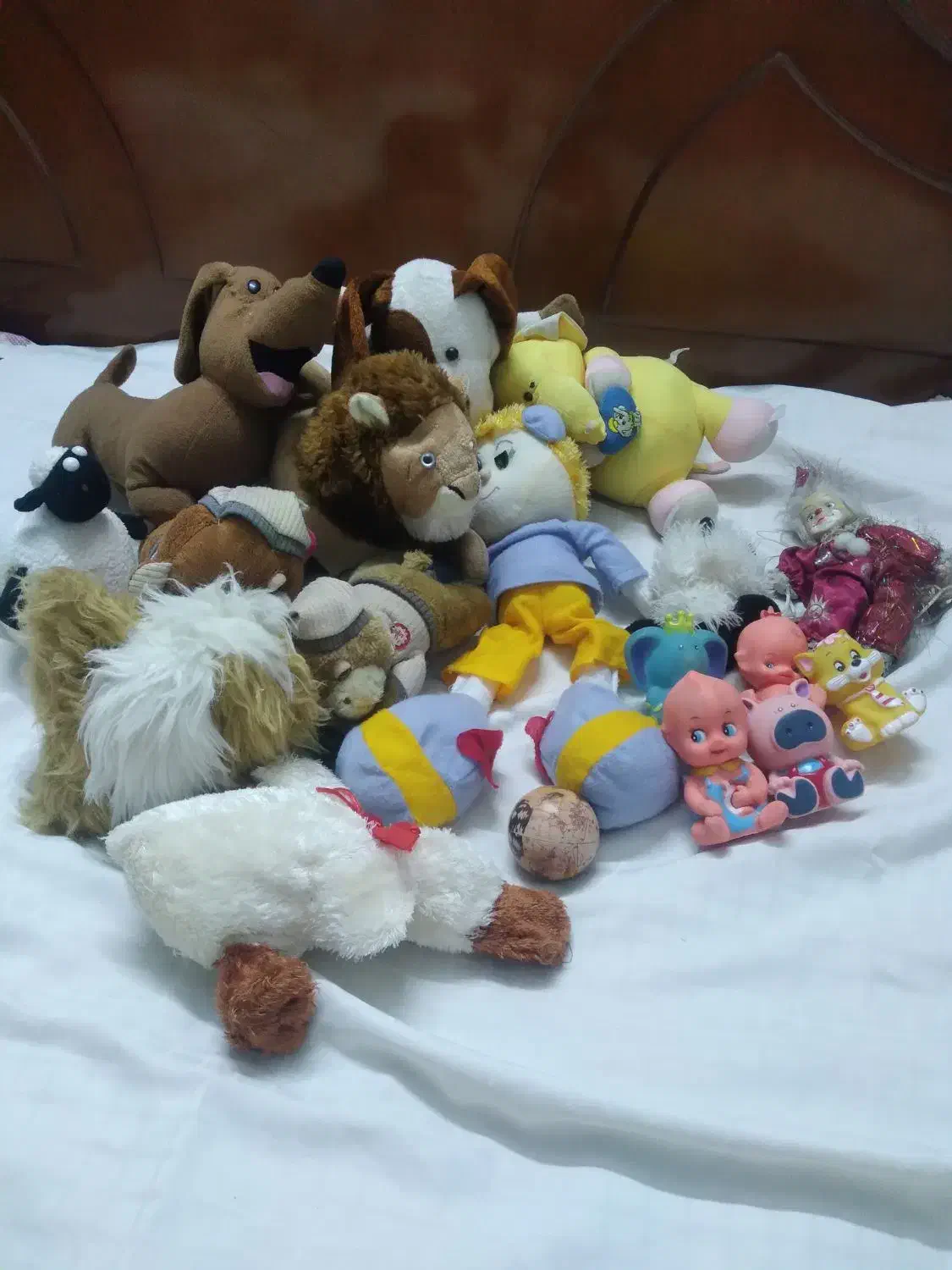 عروسک|اسباببازی بچه|گرگان, |دیوار