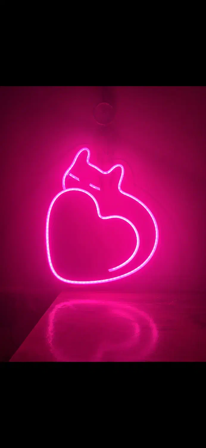 نئون دیواری طرح گربه|ریسه و چراغ تزئینی|ساری, |دیوار