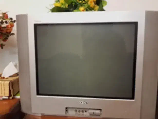 تلویزیون|تلویزیون و پروژکتور|اندیمشک, |دیوار