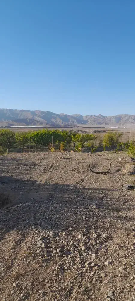 باغ نزدیک جلفا نزدیک جاده اصلی|فروش خانه و ویلا|جلفا, |دیوار