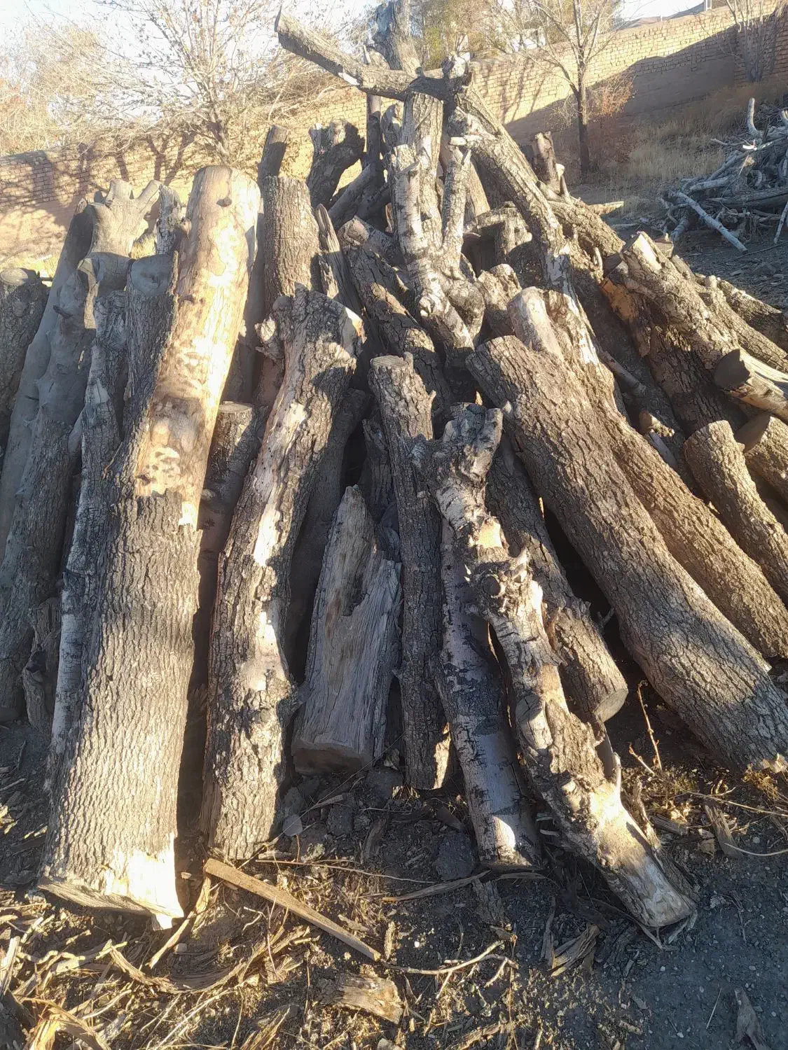 چند تن چوب خشک خشک سنجد توت زبان گنجشک گردو|عمده‌فروشی|ری, امین آباد|دیوار