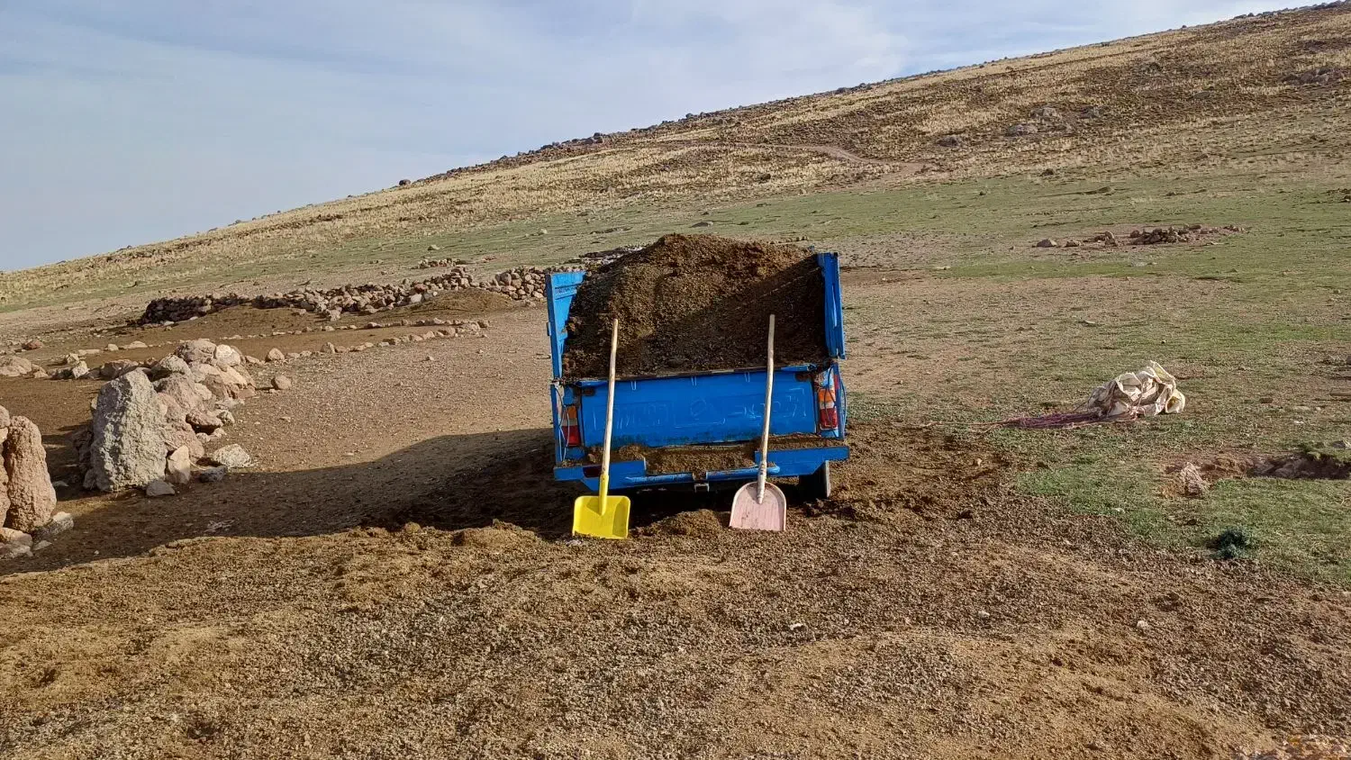 کود حیوانی برای کشاورزی|گل و گیاه طبیعی|مشگین شهر, |دیوار