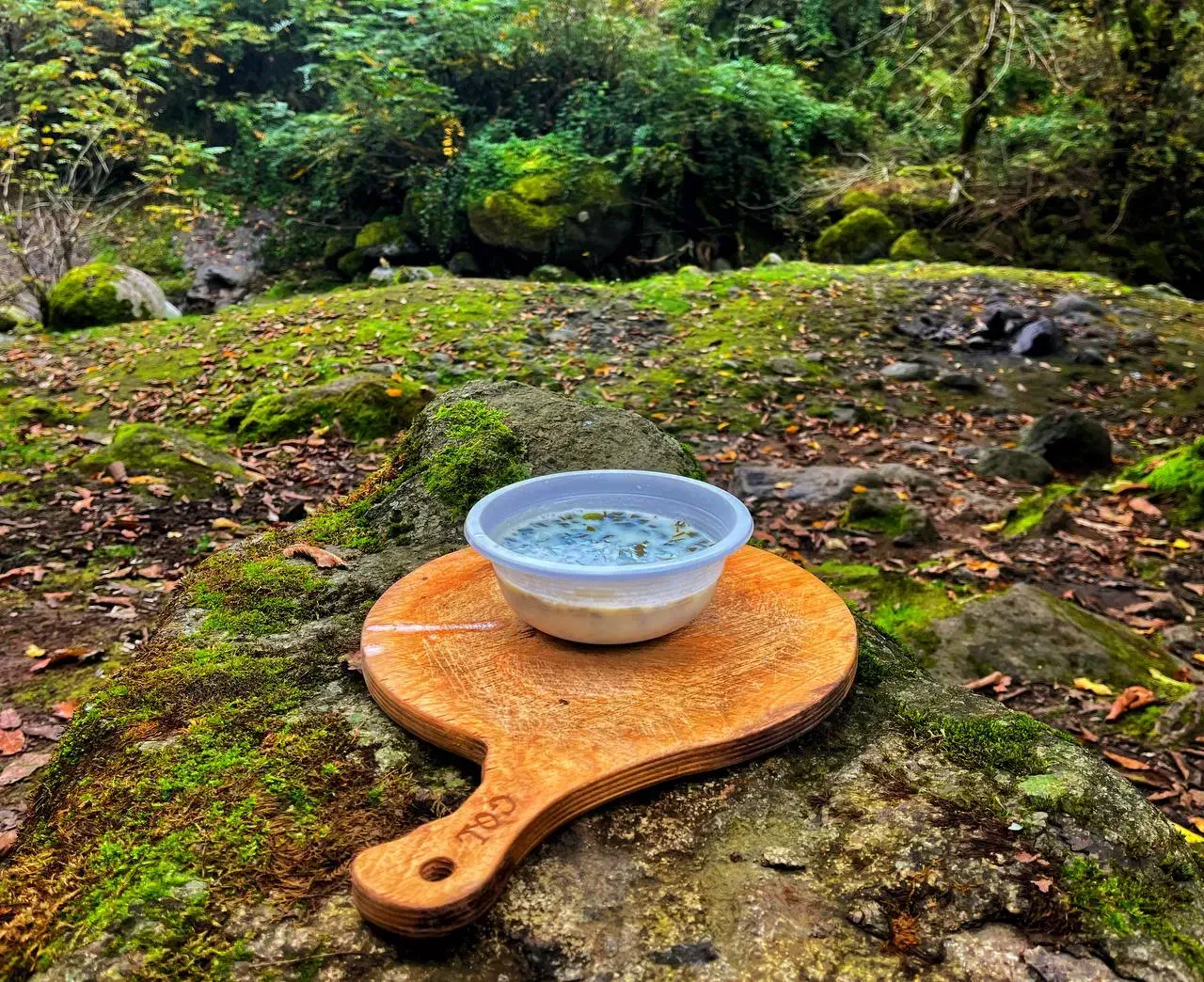 تور کاپلان یولو با مجوز رسمی میراث|تور و چارتر|نمین, |دیوار