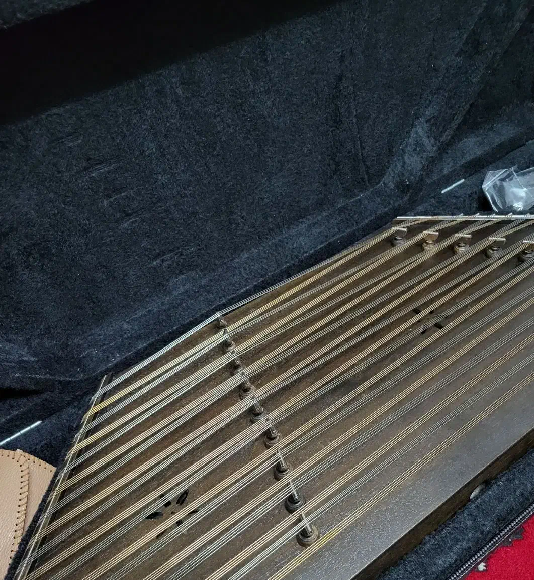 سنتور موسوی|سازهای سنتی|کاشان, دانش|دیوار