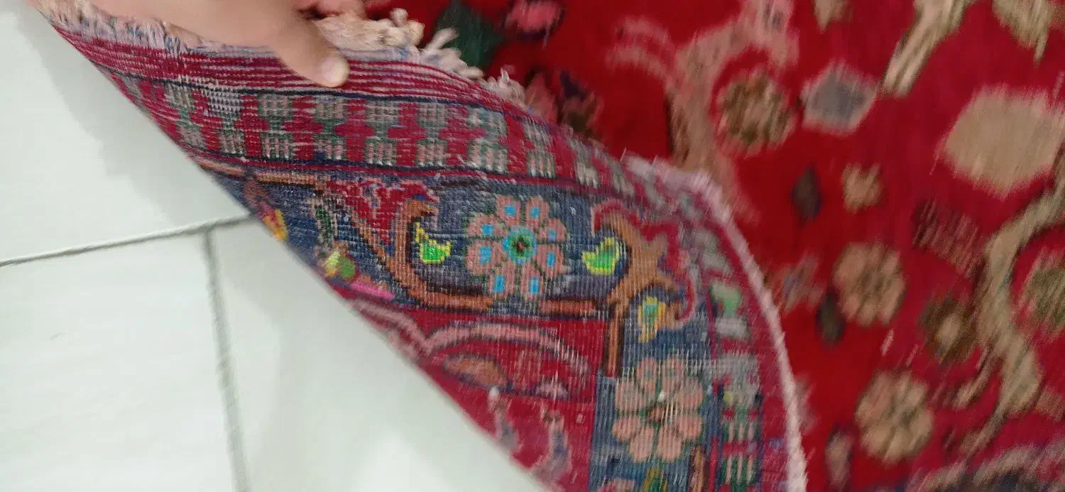 قالیچه دست بافت|فرش|صباشهر, |دیوار