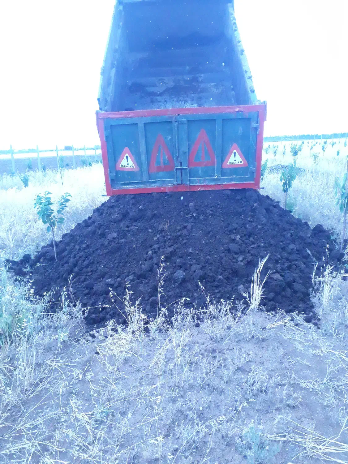 کود حیوانی کهنه|خدمات باغبانی و درختکاری|اردبیل, |دیوار