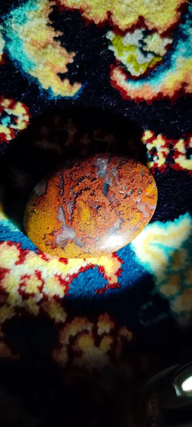 شجر پاییزه|کلکسیون اشیاء عتیقه|مشهد, احمدآباد|دیوار