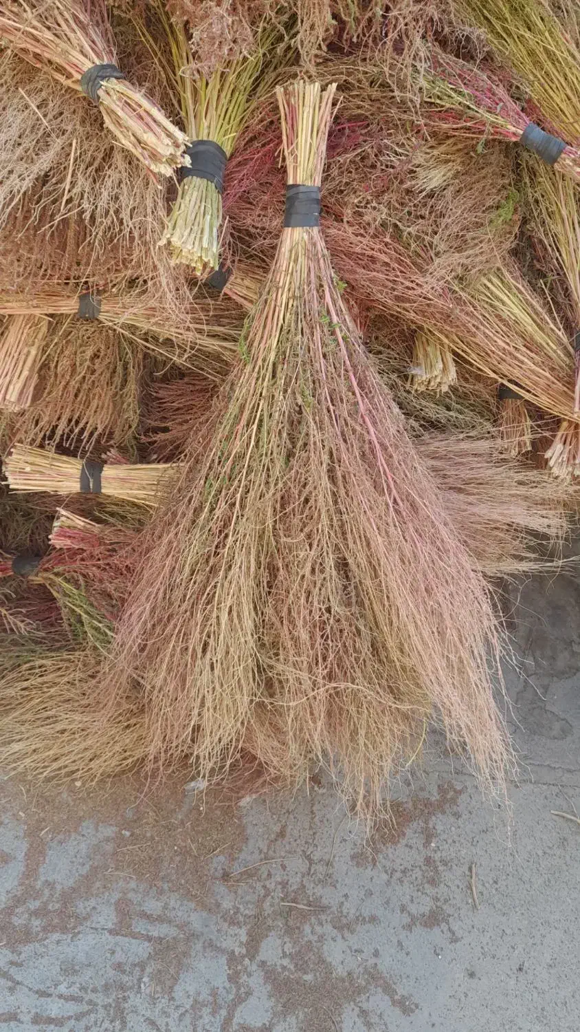 جارو|لوازم نظافت|ملایر, |دیوار