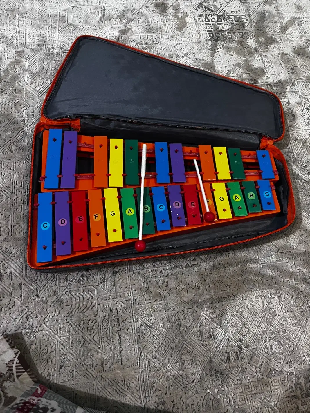 بلز کروماتیک ۲۶تیغه مارک رها کیف دار|درام و پرکاشن|رشت, گلسار|دیوار