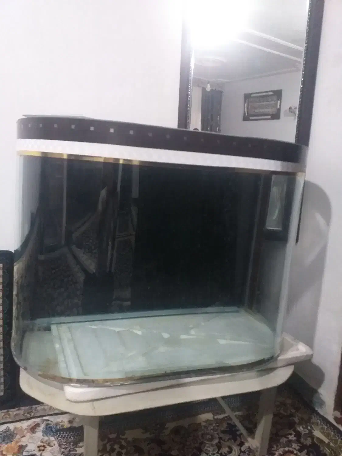 آکواریوم|ماهی|اسلامآباد غرب, |دیوار