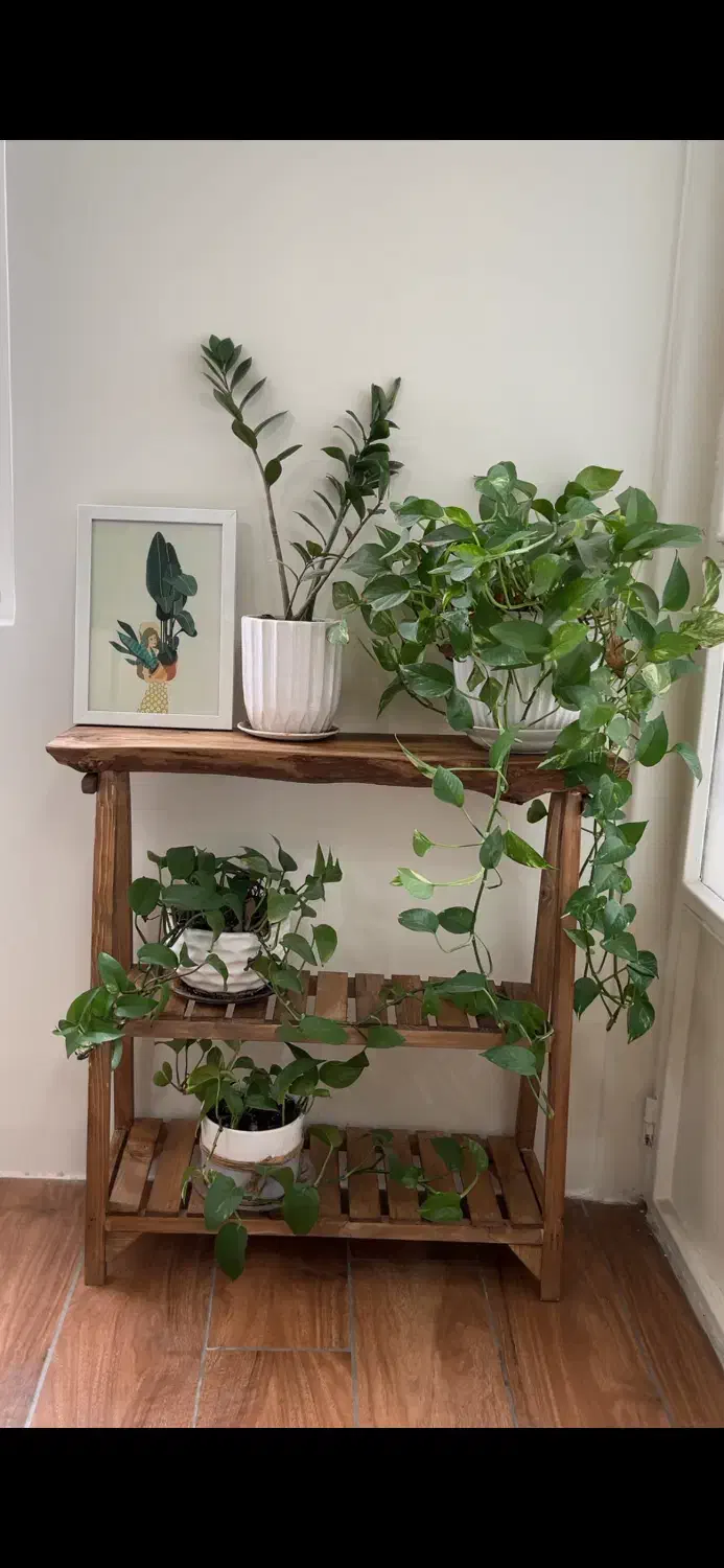 استند چوبی سه طبقه|کتابخانه، شلف، قفسه‌های دیواری|تهران, اتابک|دیوار