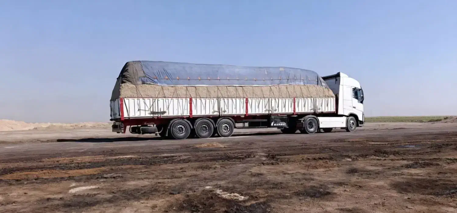 خوراک دام ، کنستانتره پایه باگاس ، نیشکر|حیوانات مزرعه|برخوار, |دیوار