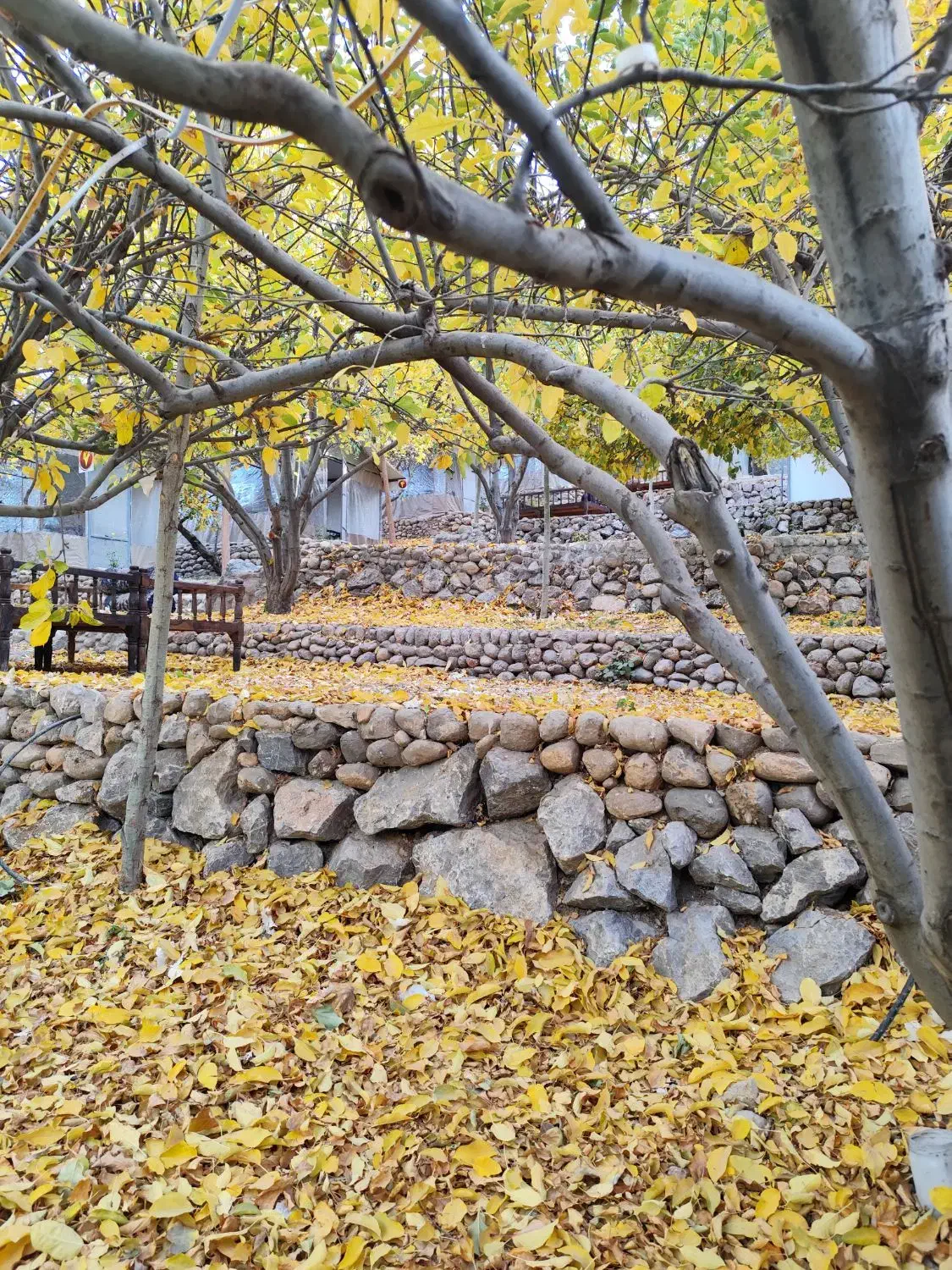 نیرو برای باغ رستوران (سفره خانه)|استخدام خدمات فروشگاه و رستوران|بروجرد, |دیوار