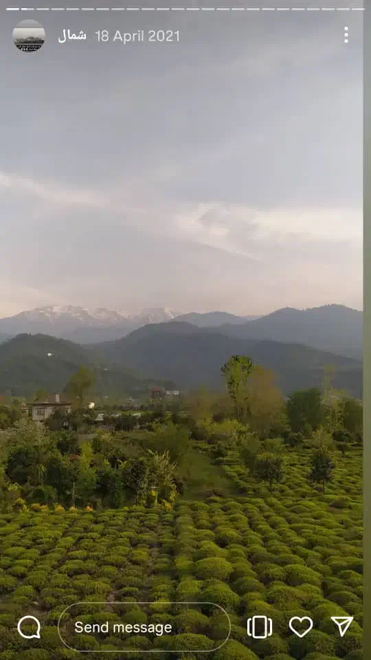 زمین واجارگاه اول جاده سلیم سرا|فروش زمین و ملک کلنگی|واجارگاه, |دیوار