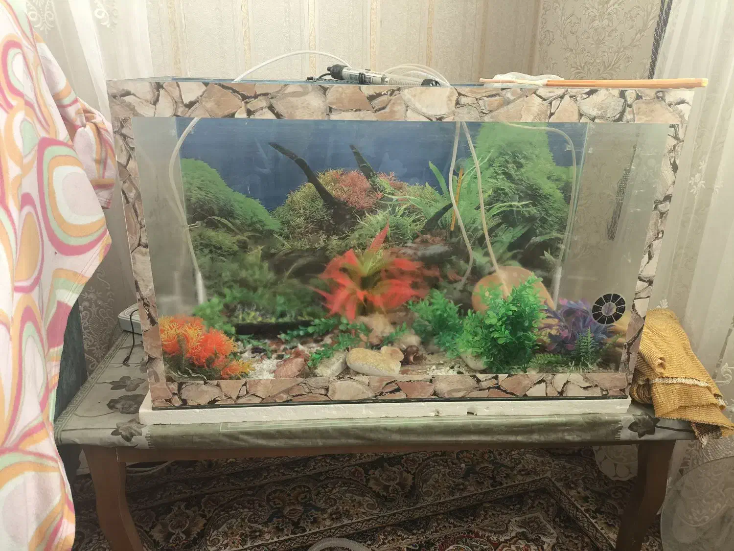 آکواریوم|ماهی|اشتهارد, |دیوار