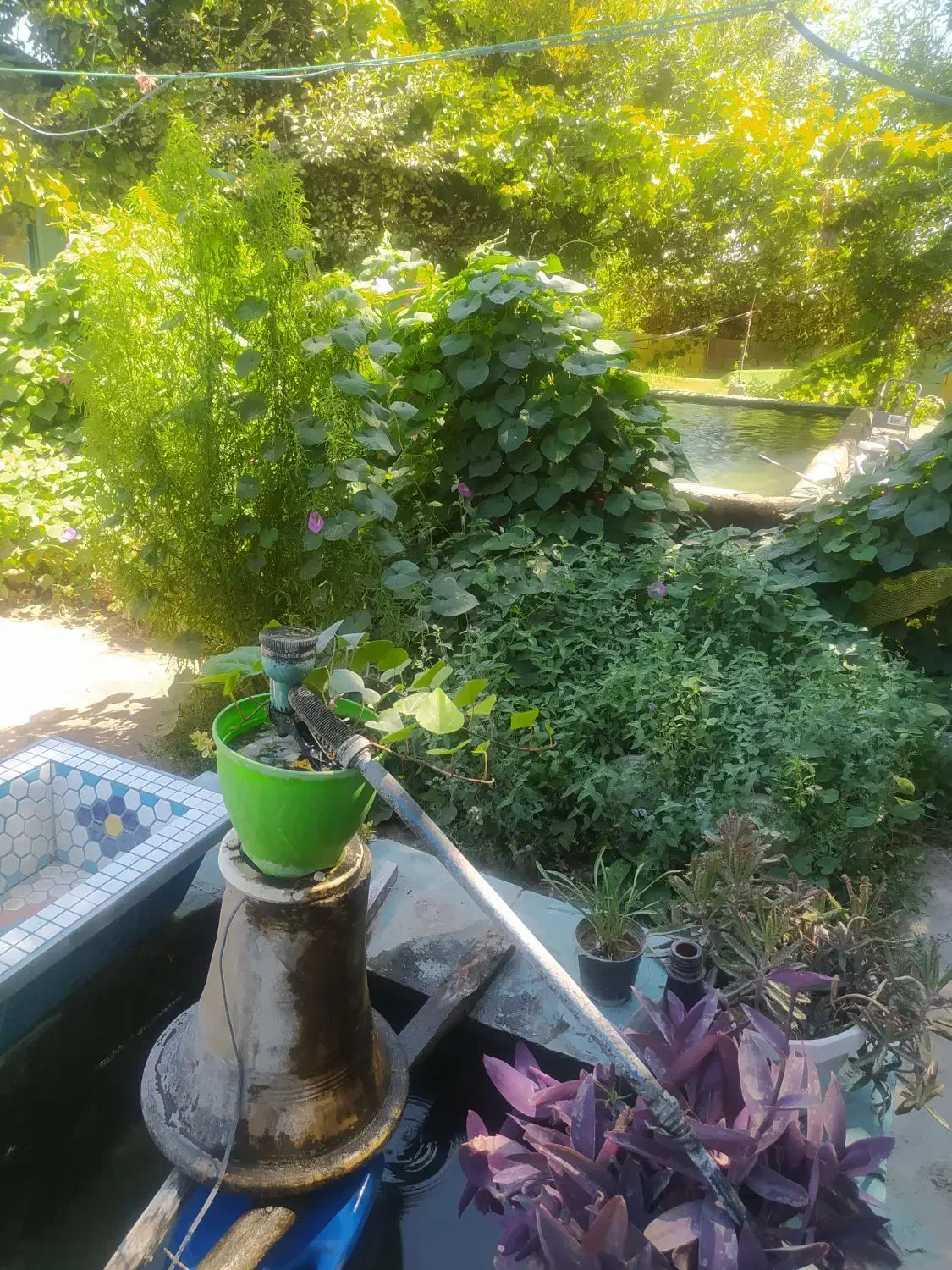 سفره خانه سنتی قهرمانی|کافیشاپ و رستوران|اسدآباد, |دیوار