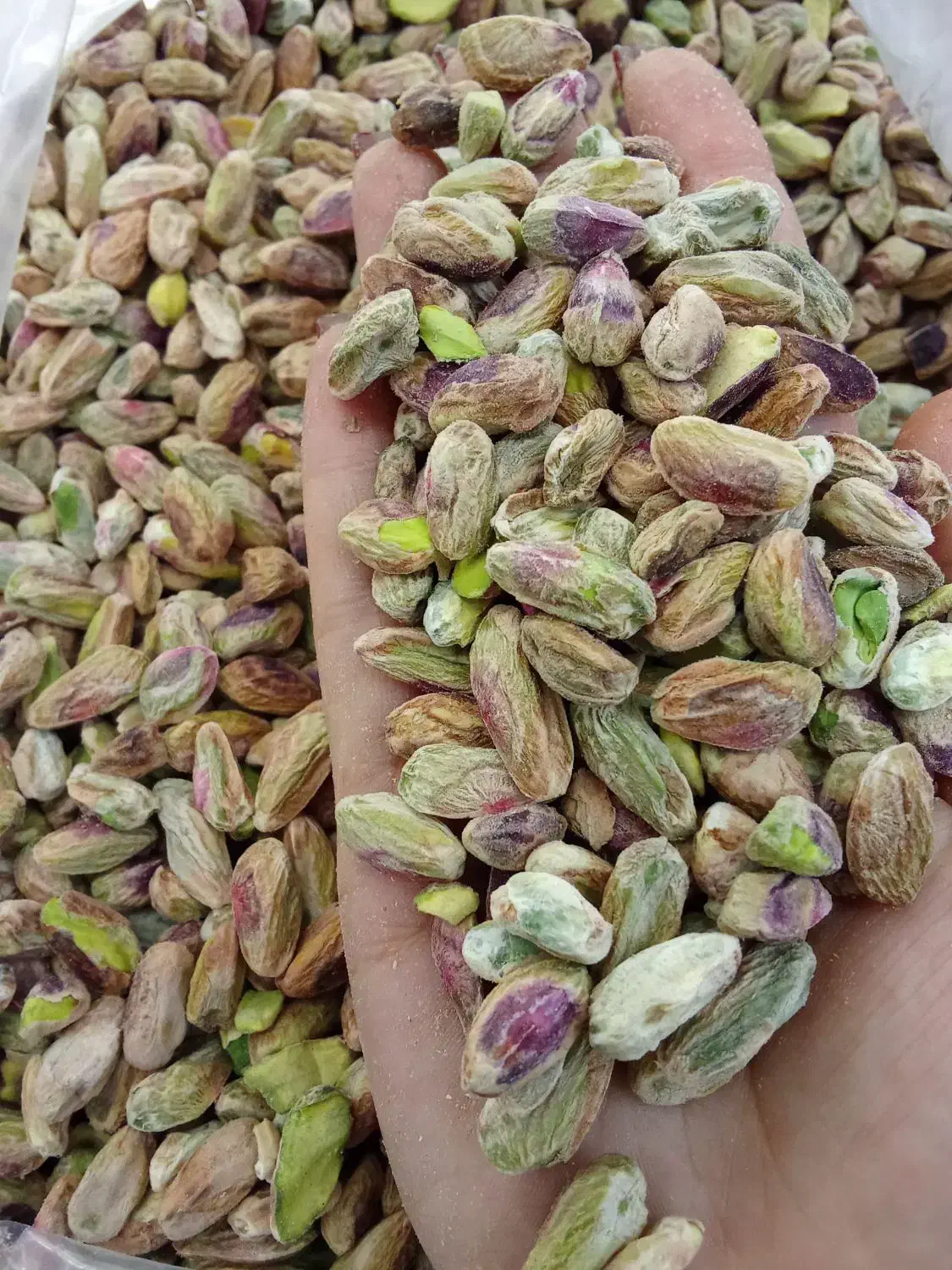 مغز پسته سبز|خوردنی و آشامیدنی|اصفهان, جلفا|دیوار