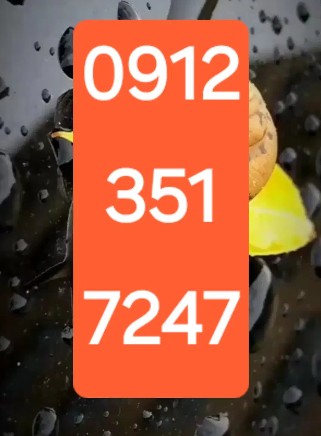 09123517247|سیم‌کارت|قم, بلوار امین و ساحلی|دیوار