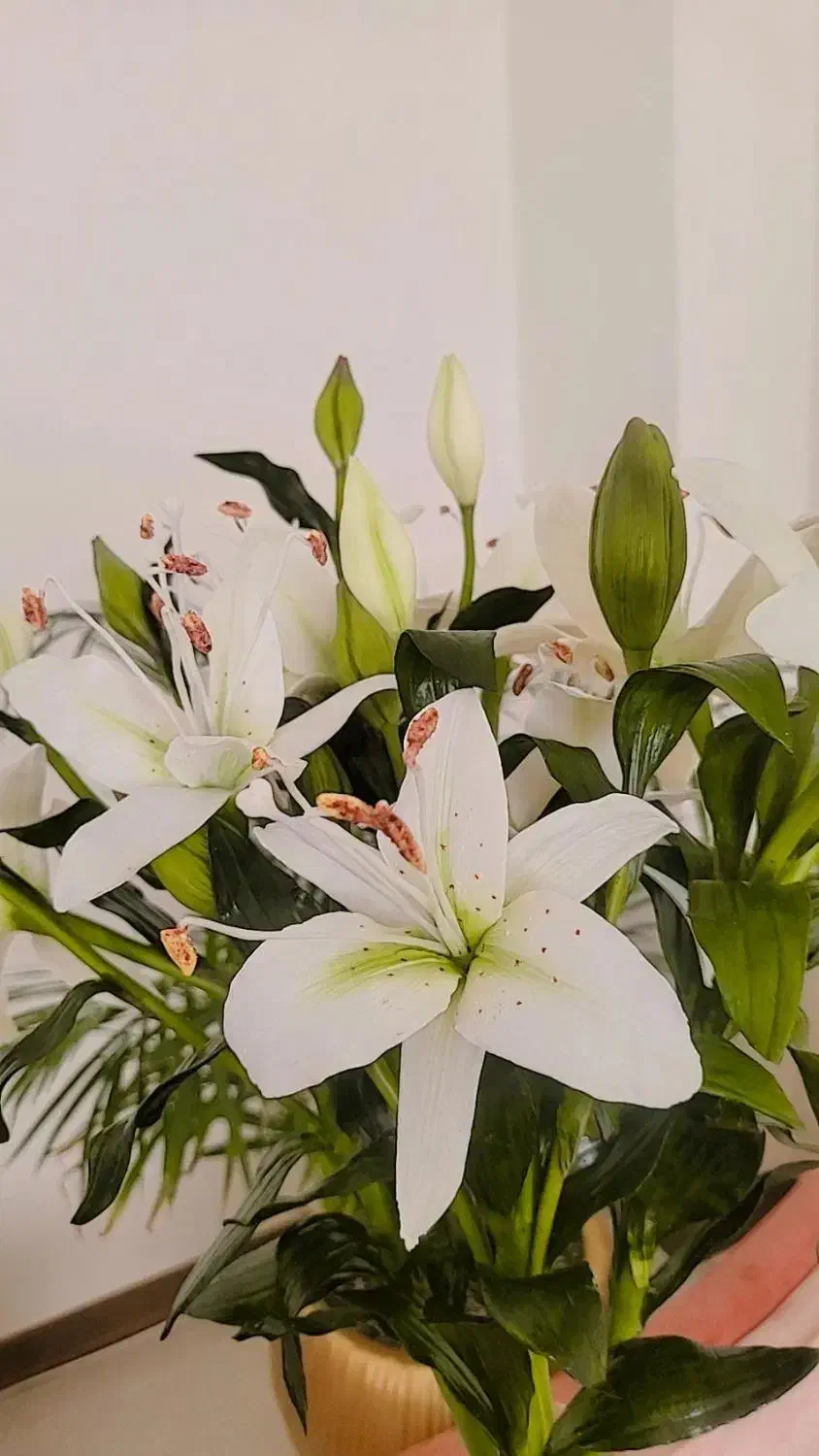 گلهای دست ساز منعطف چینی|گل مصنوعی|تهران, کوهک|دیوار