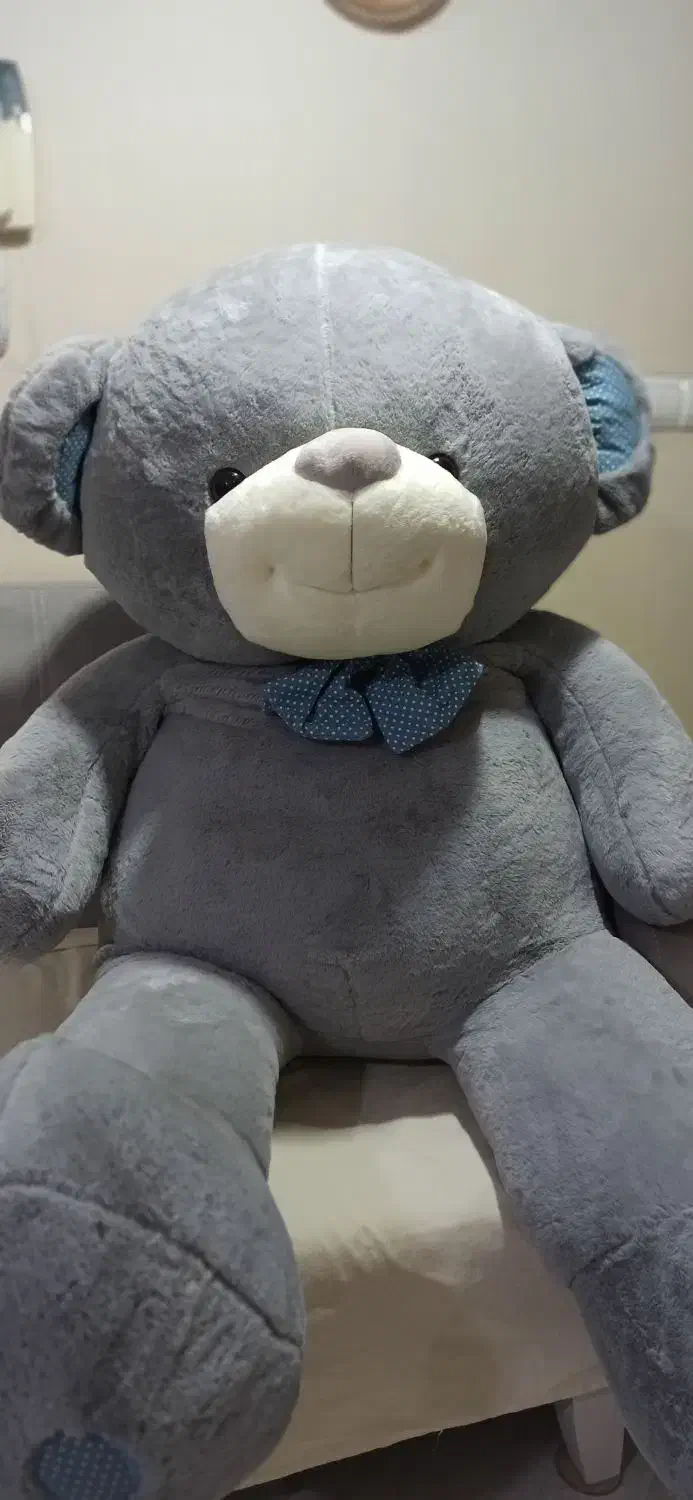 خرس بزرگ خارجی|اسباب‌‌بازی|زنجان, |دیوار