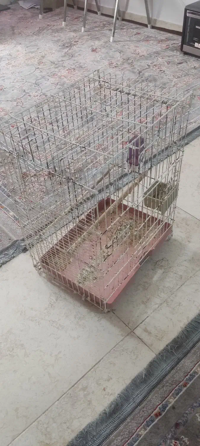 قفس پرنده|لوازم جانبی حیوانات|کیش, |دیوار