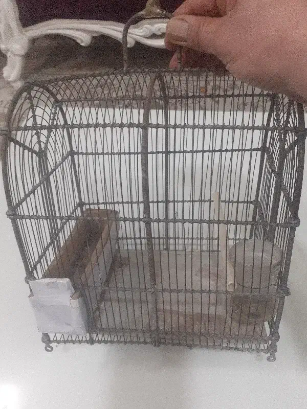 قفس سهره|لوازم جانبی حیوانات|بروجرد, |دیوار