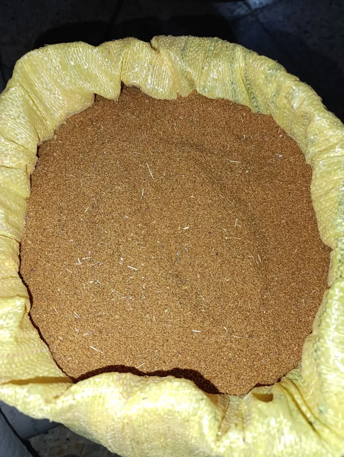 بذر کاملینا|گل و گیاه طبیعی|کلاله, |دیوار