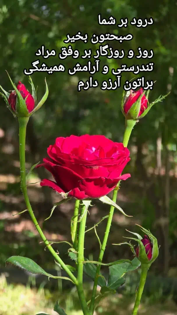 لوله کشی پلیکا و۵لایه|استخدام معماری، عمران و ساختمانی|کاشان, شهرک امیرالمومنین|دیوار