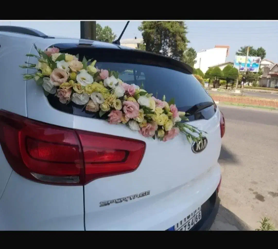 ماشین عروس|خدمات پذیرایی، مراسم|رشت, معلم|دیوار