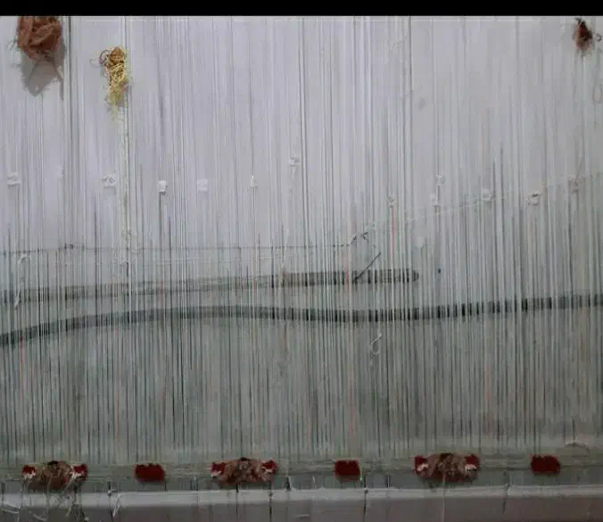 خلچه کامپیوتری|فرش|مرند, |دیوار