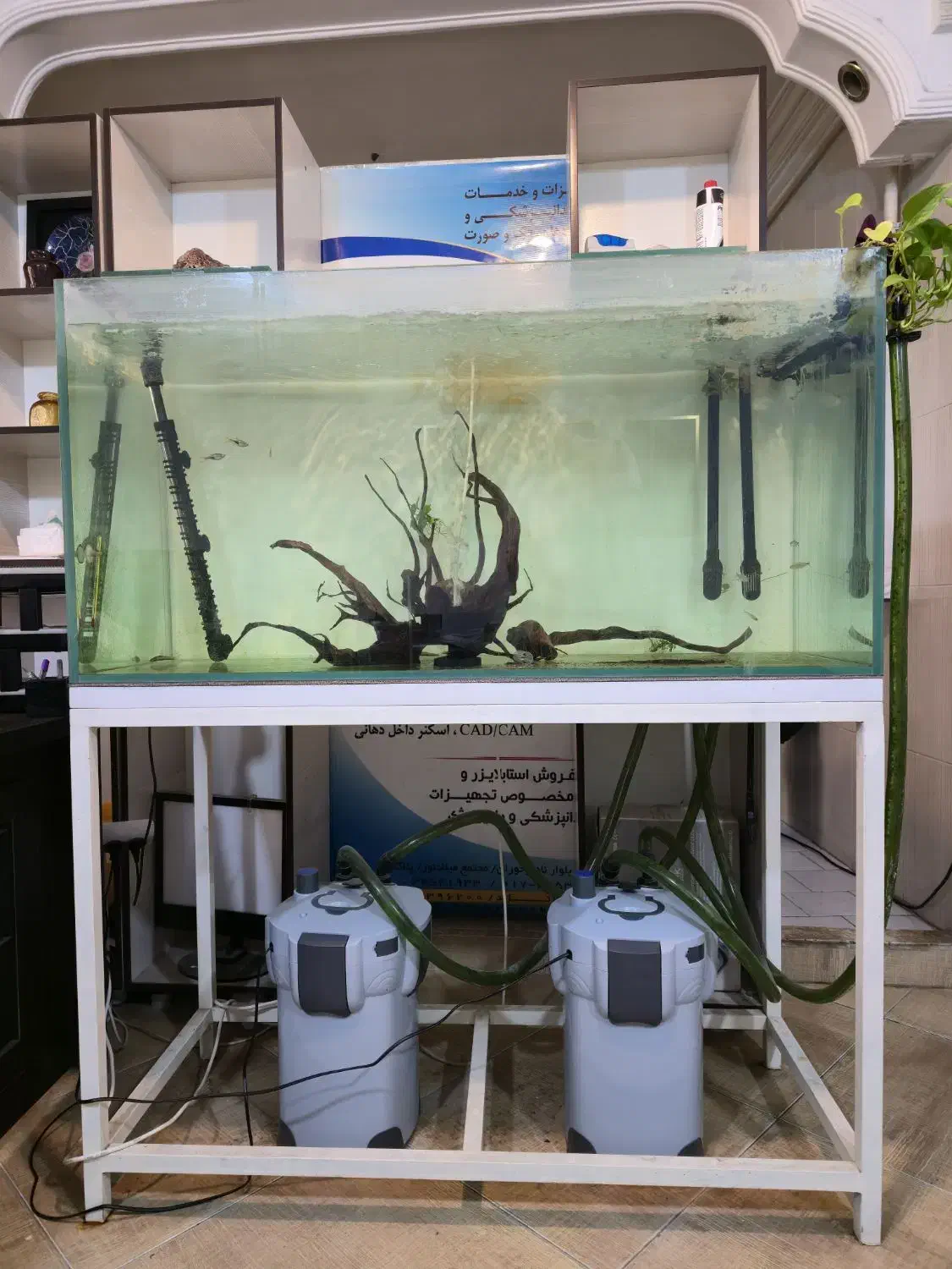 اکواریوم کامل ریملس ۳۲۰ لیتری|ماهی|گرگان, |دیوار