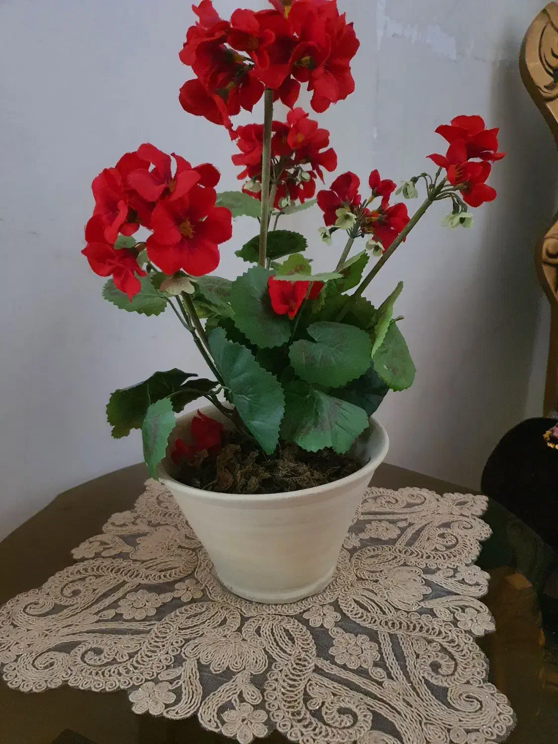 گل مصنوعی|گل مصنوعی|مشهد, انقلاب|دیوار