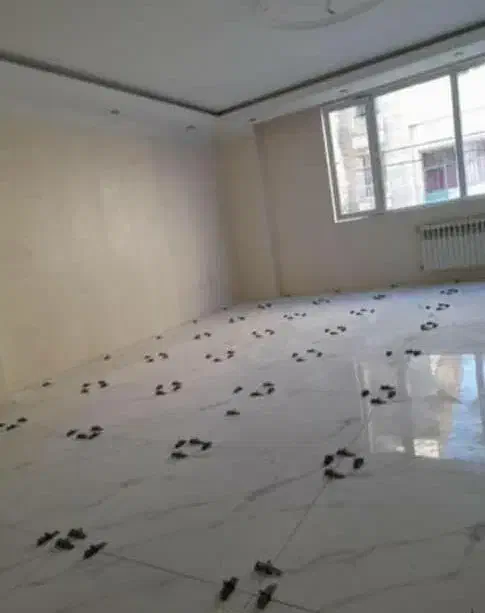 پیمانگاری ساختمان  ویلایی وآپارتمان  نقدی و اقساط|خدمات پیشه و مهارت|هشتگرد, مدرس|دیوار