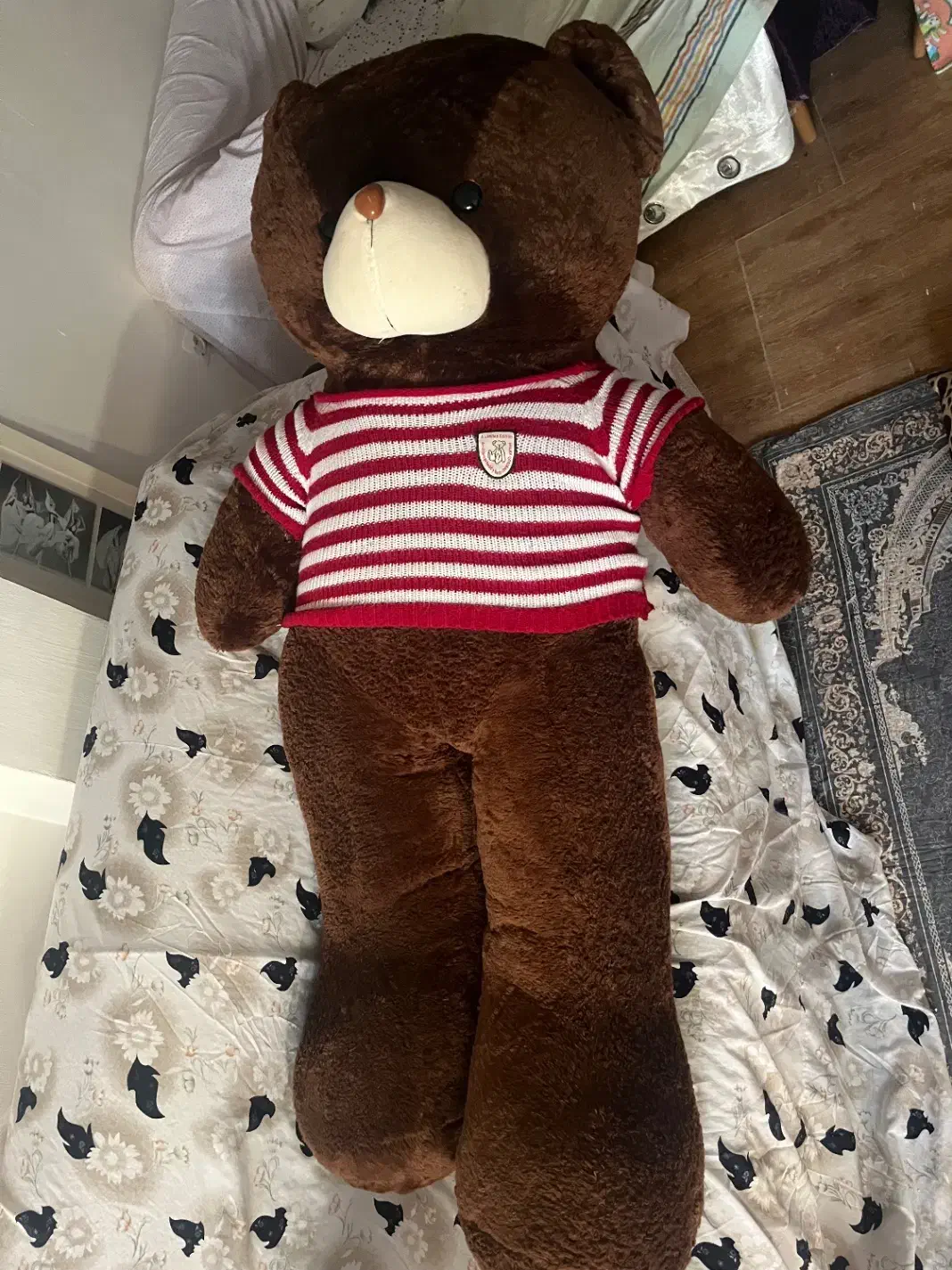 خرس|اسباب‌بازی بچه|شیروان (خراسان), |دیوار