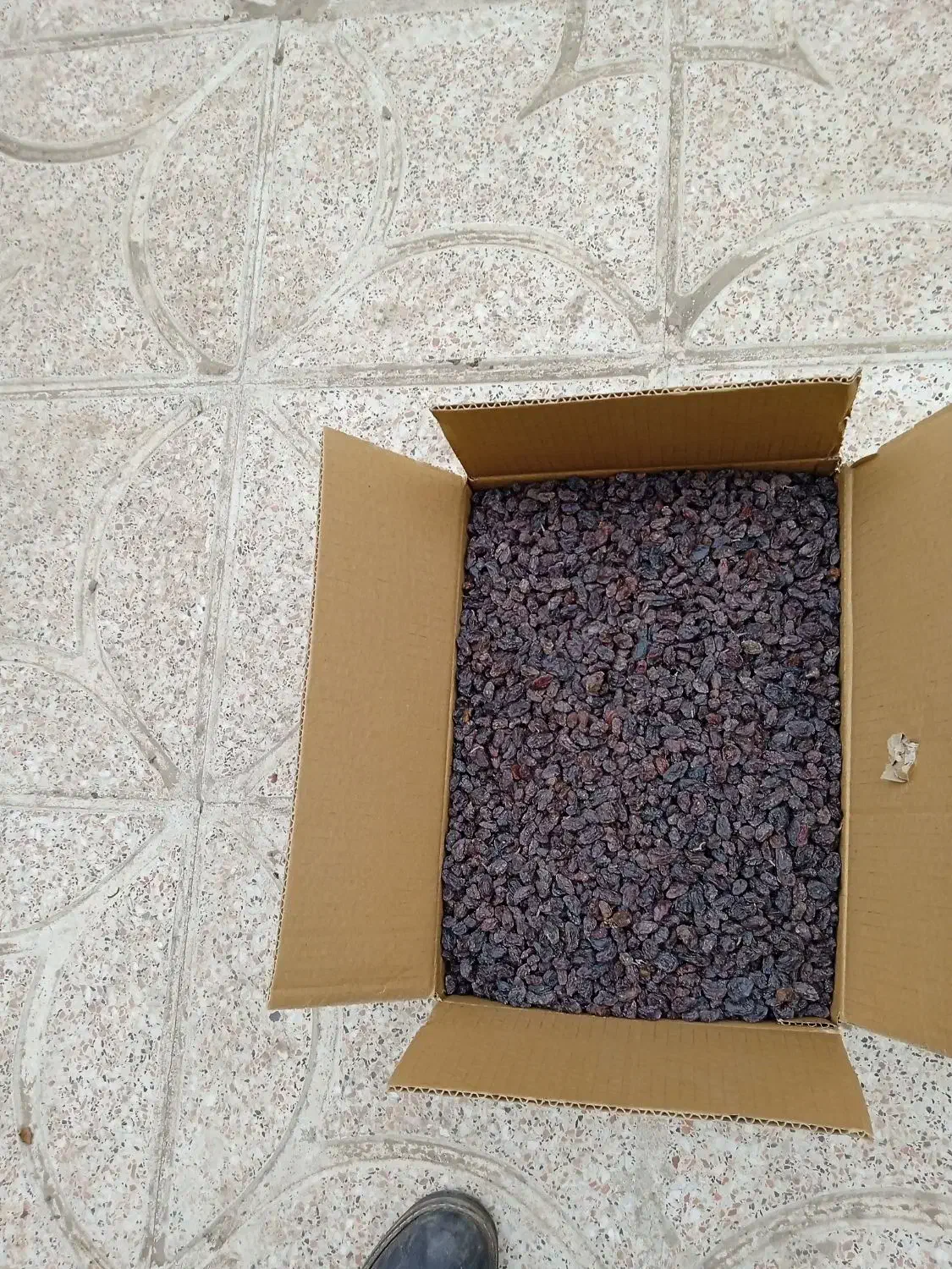 کشمش بیدانه آفتاب خشک|عمدهفروشی|اقبالیه, |دیوار