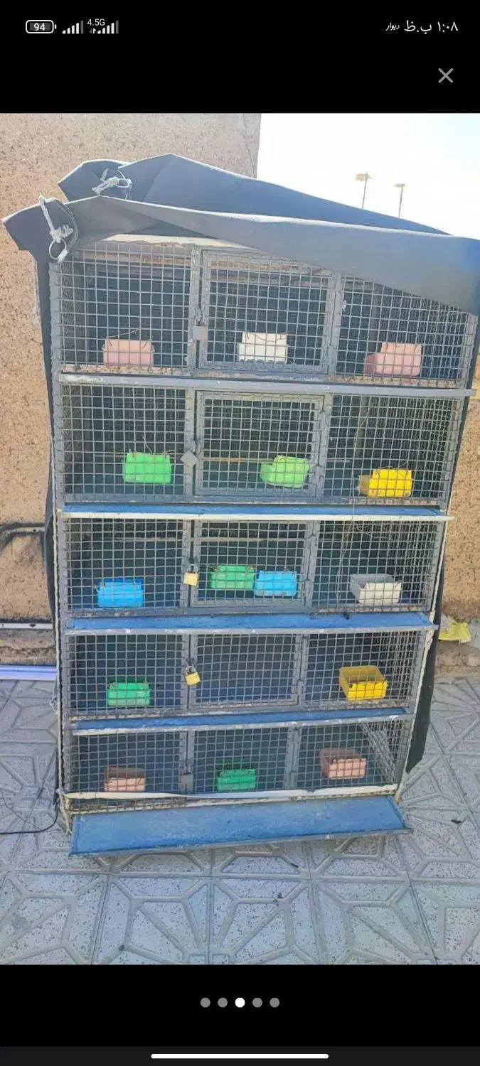 قفس مرغ خروس پرنده|لوازم جانبی حیوانات|مرودشت, رامجرد یک|دیوار