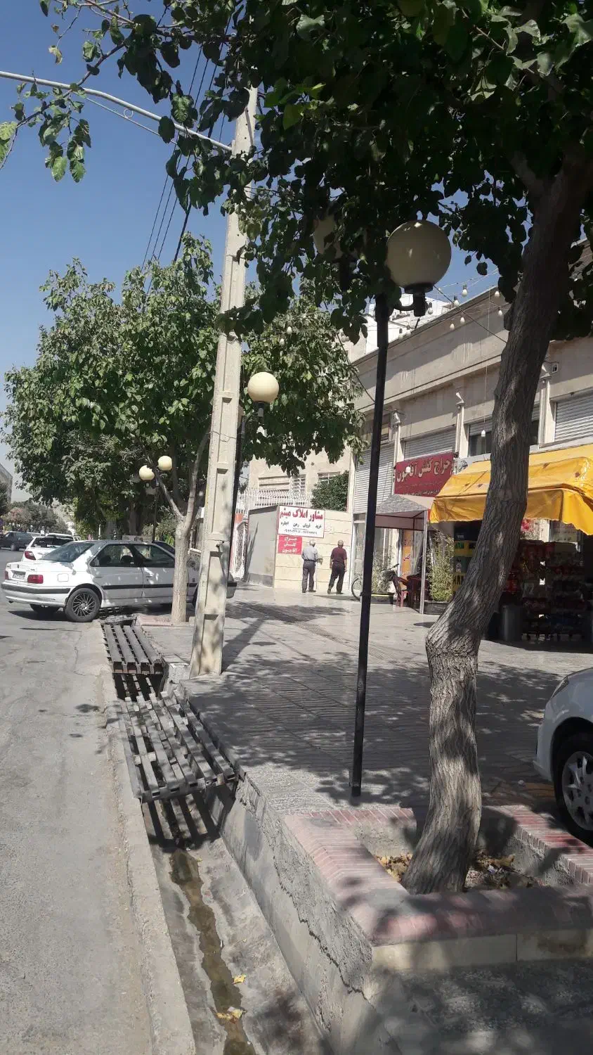 یک واحد تجاری ۵۵ متر بر بلوار سپیده  شهرک والفجر|اجارهٔ مغازه و غرفه|شیراز, شهرک والفجر|دیوار
