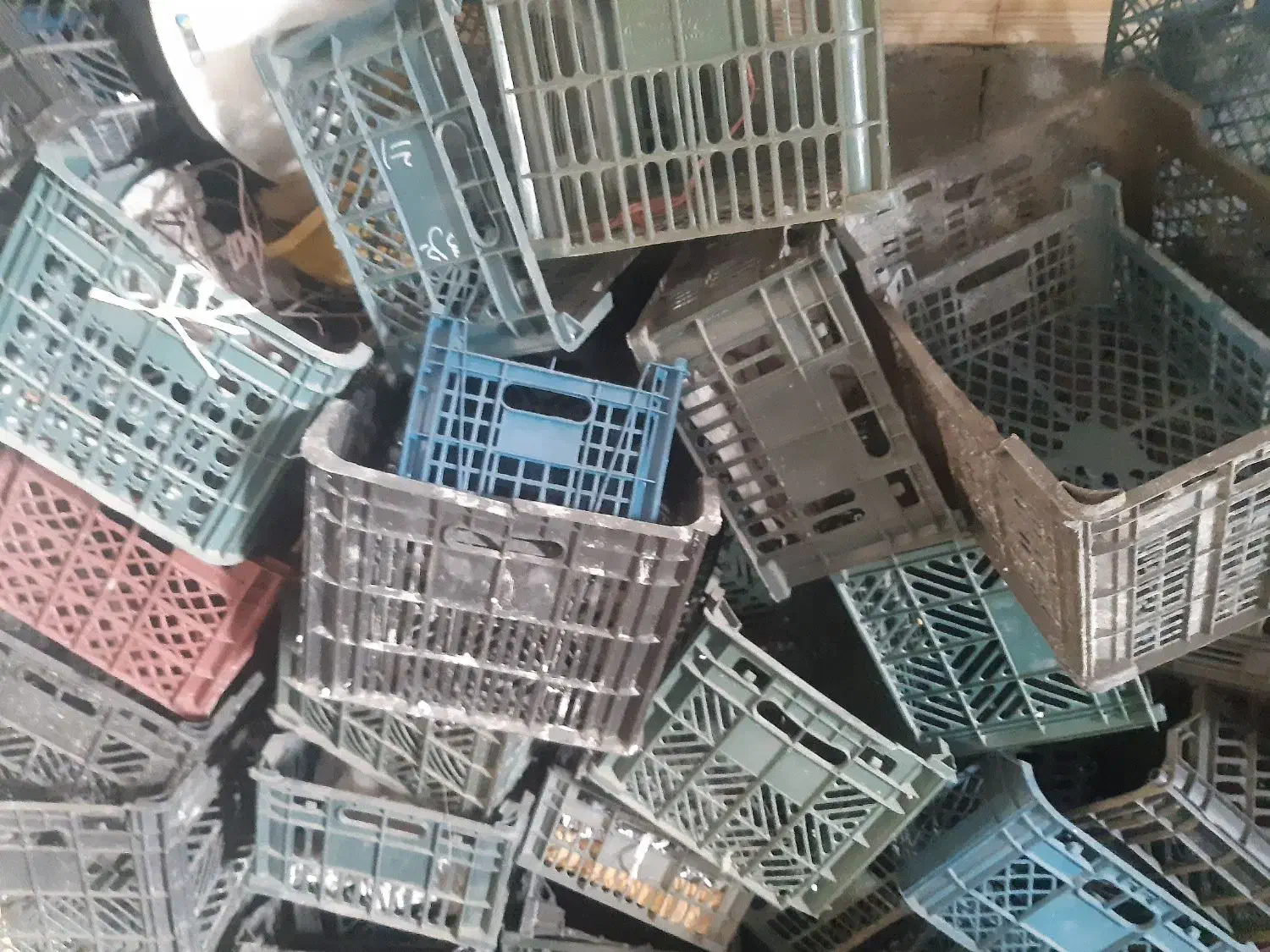 سبد سالم با قیمت مناسب|عمده‌فروشی|خلخال, |دیوار