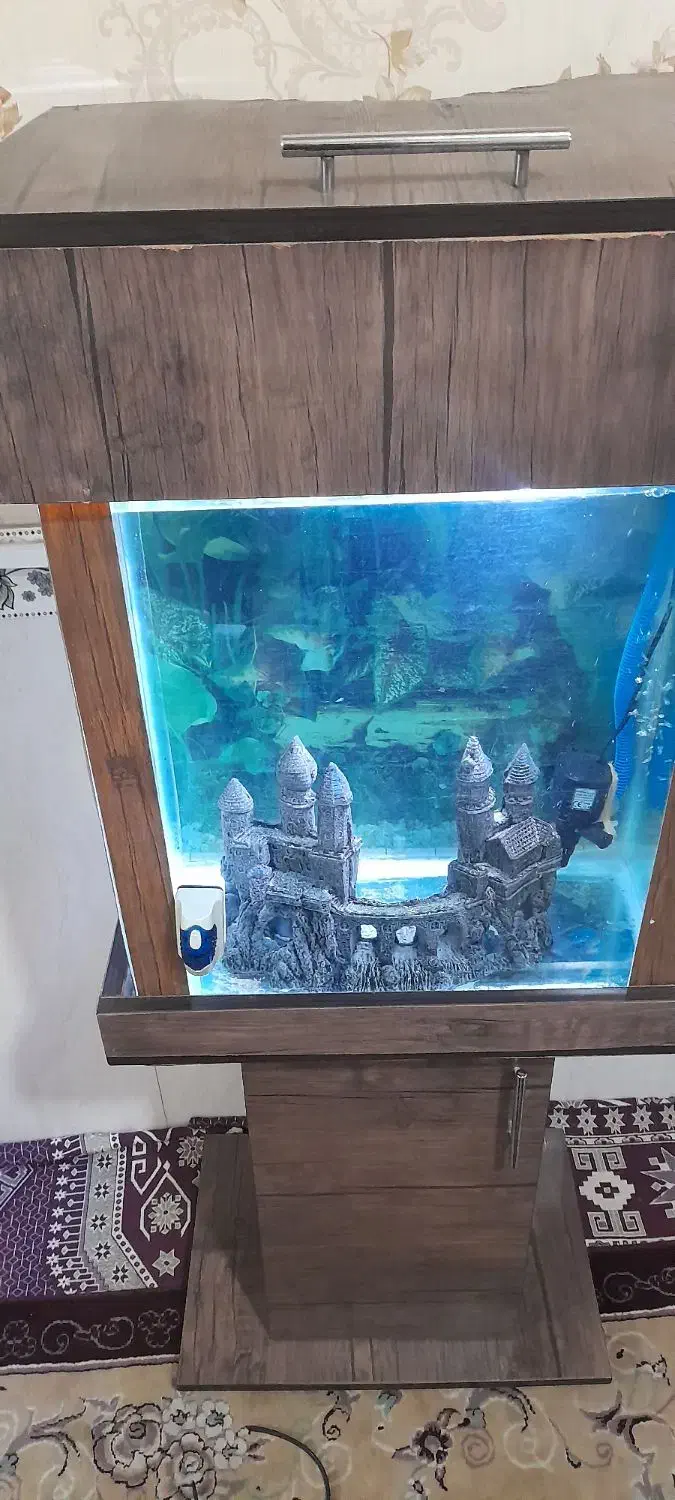 اکواریوم باماهی لجن خوار طلایی و یه سری لوازم|ماهی|اسلامشهر, شهرک قائمیه|دیوار