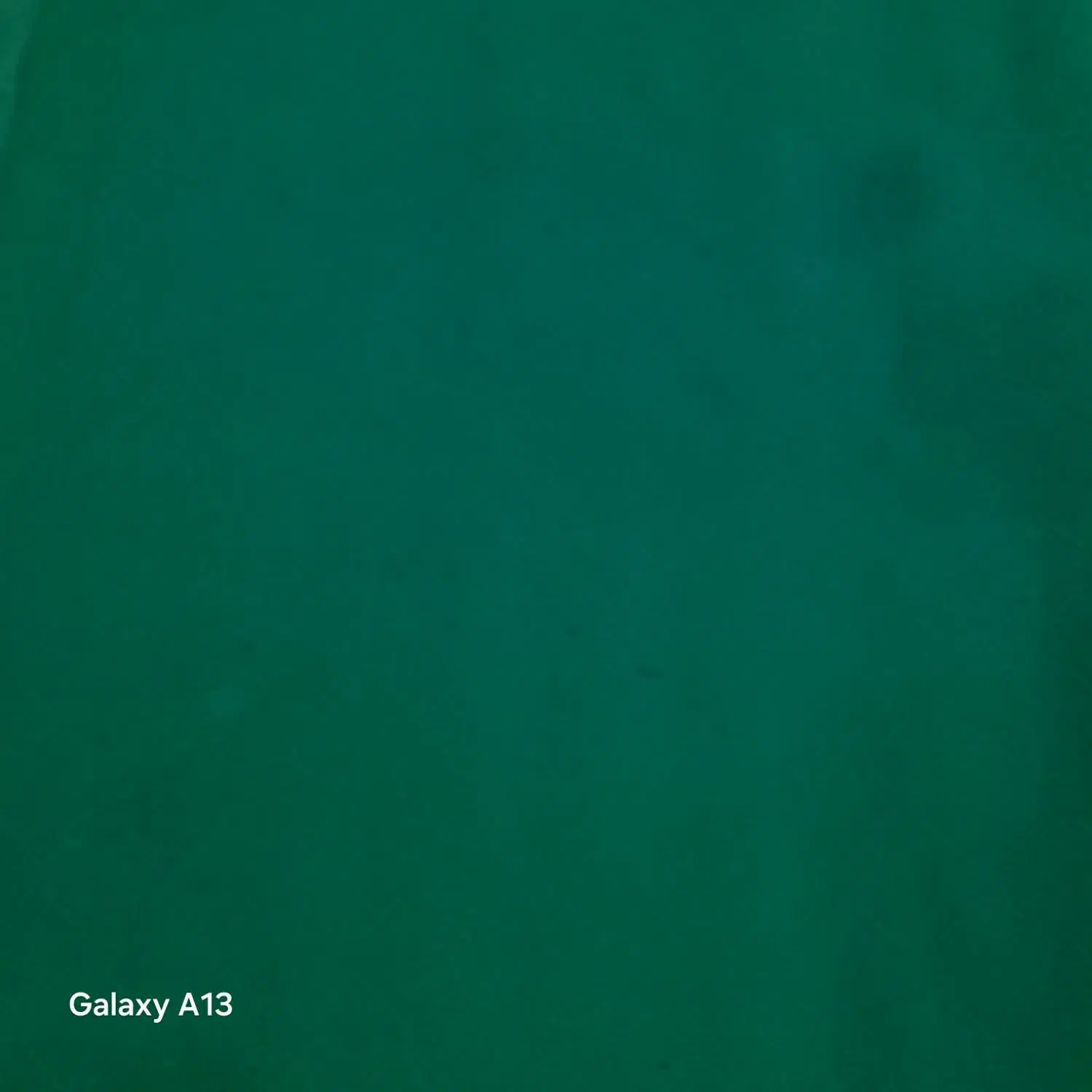 ۲ عدد موکت|موکت|یاسوج, |دیوار