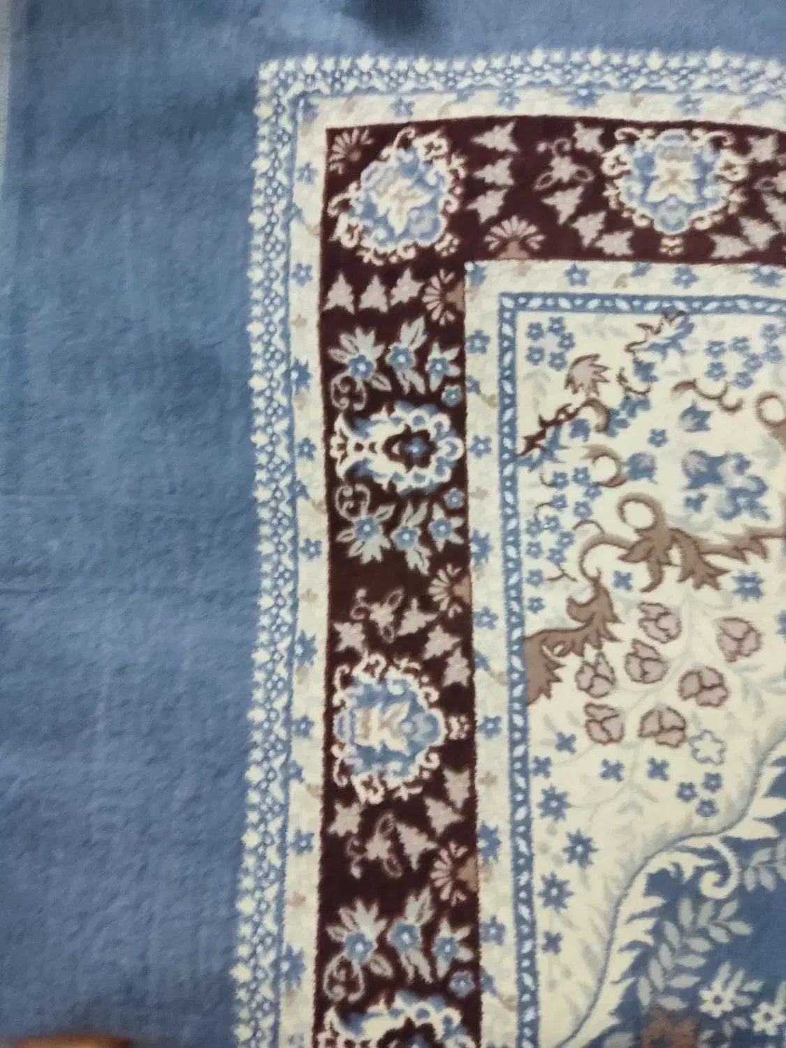 روفرشی|روفرشی|بندر کنگان, |دیوار