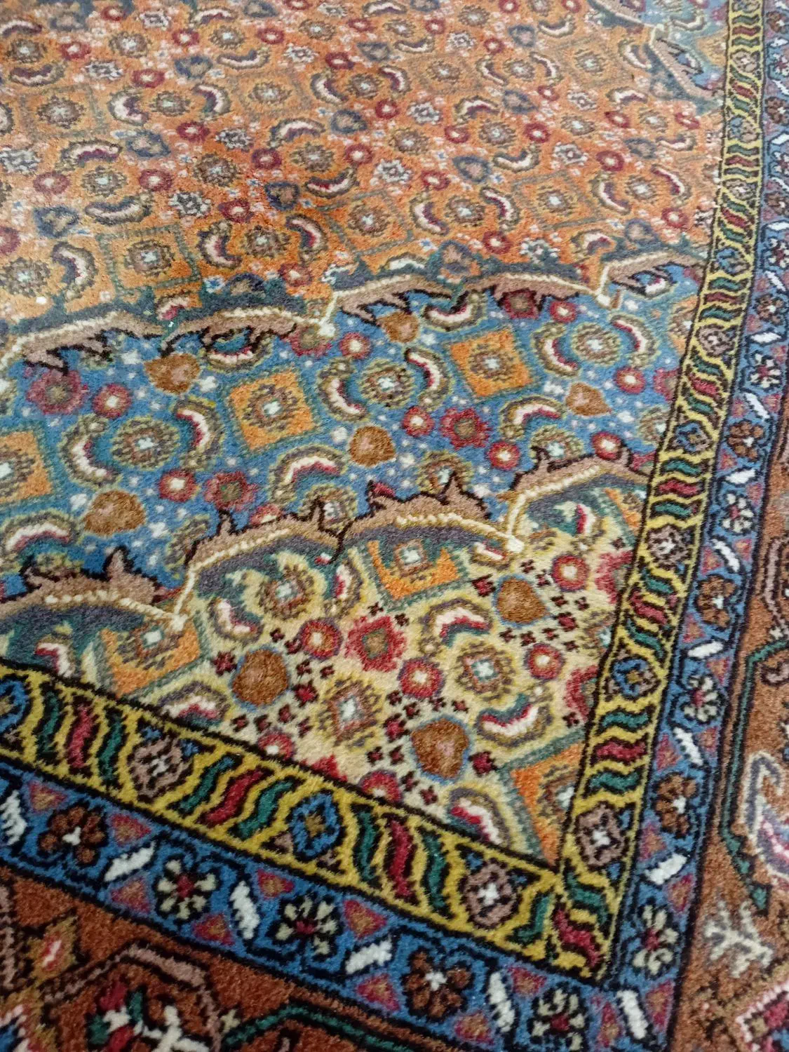 ۱ جفت فرش دستبافت ریز ماهی اصیل|فرش|اردبیل, |دیوار