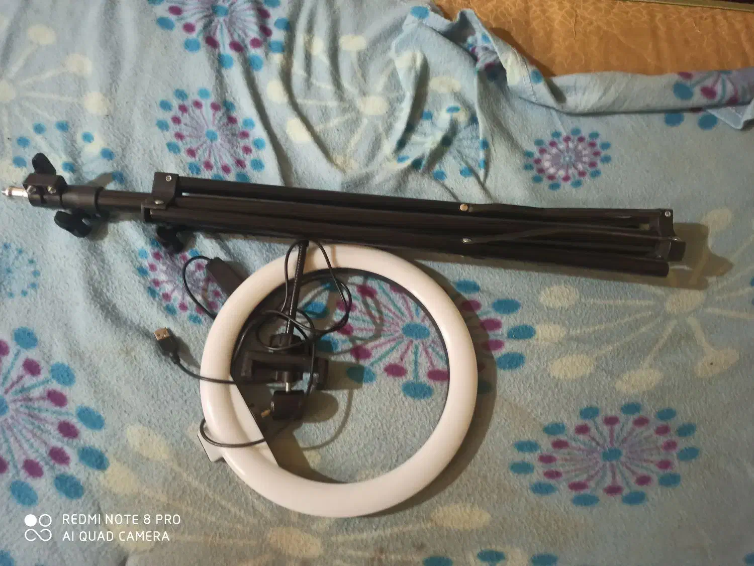 رینگ لایت|دوربین عکاسی و فیلمبرداری|چمران, |دیوار