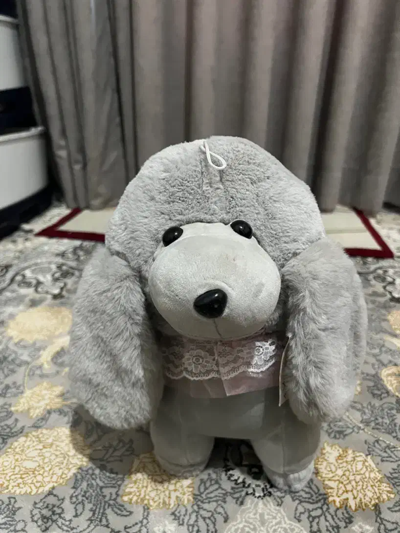 عروسک نو|اسباب‌‌بازی|قدس, شهر‌قدس|دیوار