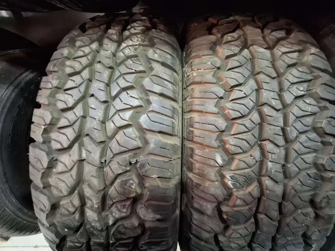 لاستیک|حراج|بانه, |دیوار