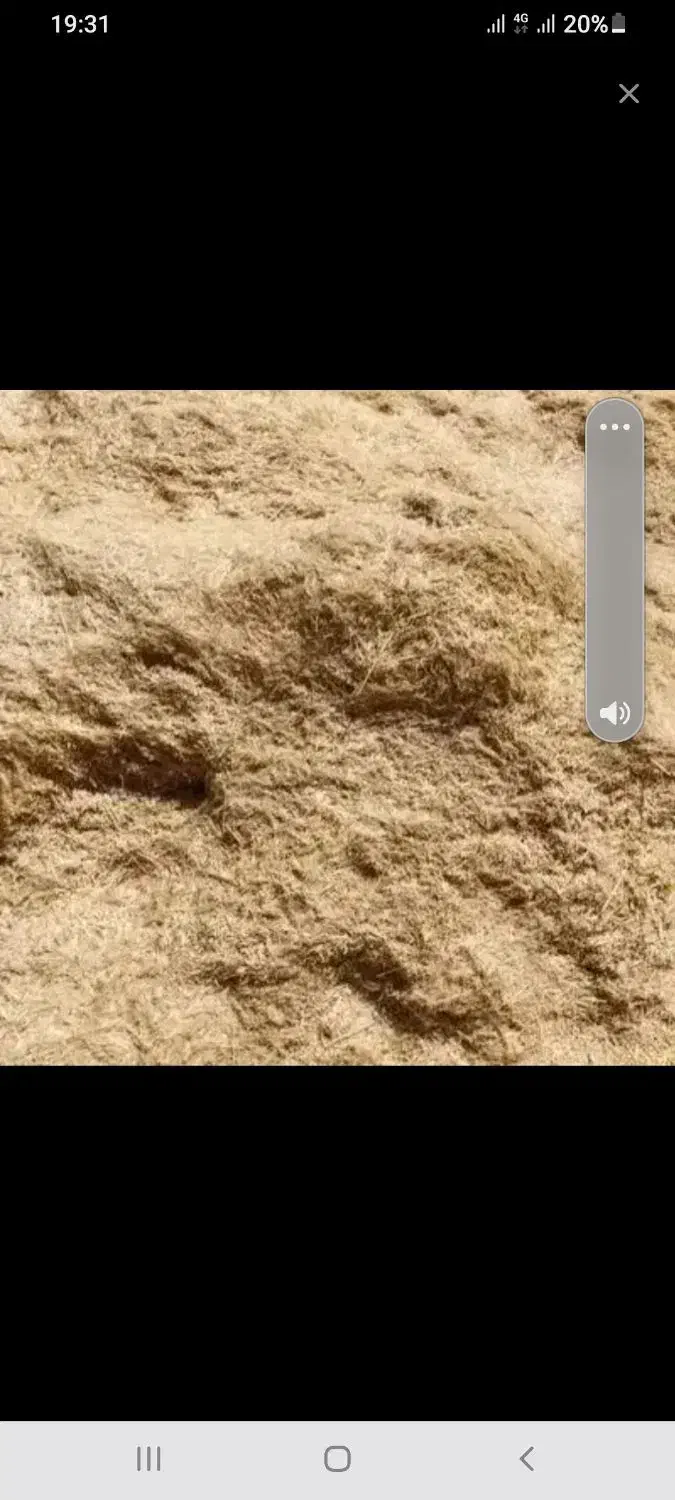 یونجه|لوازم جانبی حیوانات|سنندج, |دیوار